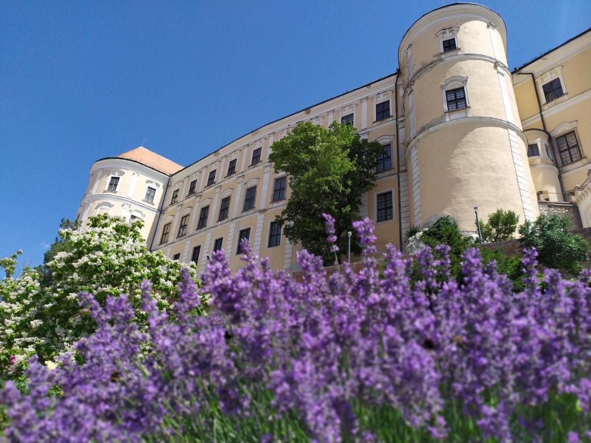 Apartman Jan Břeclav Eksteriør bilde